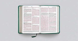 ESV Large Print Compact Bible (TruTone, Teal, Bouquet Design),Used