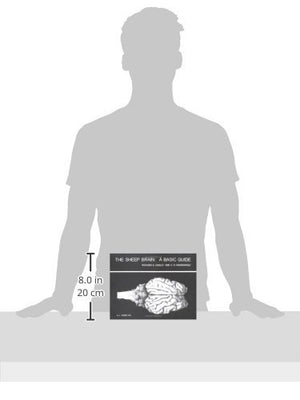 The Sheep Brain: A Basic Guide,Used