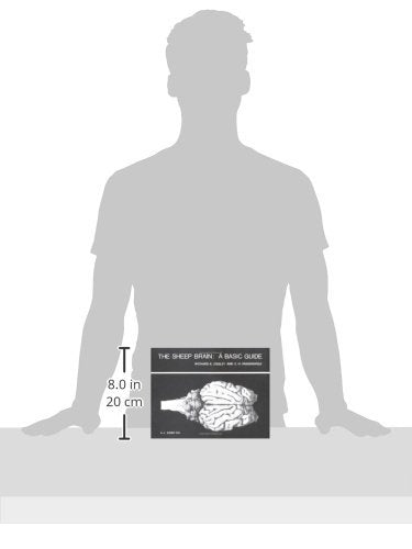 The Sheep Brain: A Basic Guide,Used