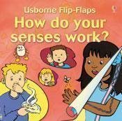 How Do Your Senses Work (Flip Flaps),Used