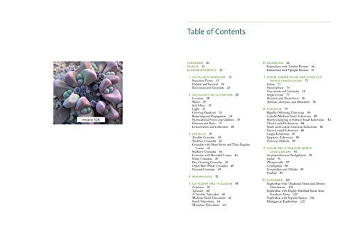 The Timber Press Guide To Succulent Plants Of The World: A Comprehensive Reference To More Than 2000 Species,New