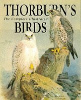 Thorburn's Birds,Used