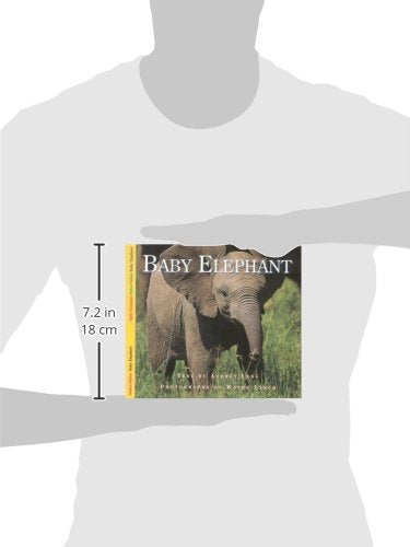 Baby Elephant (Nature Babies),Used