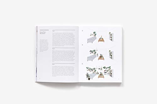 The New Plant Parent: Develop Your Green Thumb and Care for Your HousePlant Family,Used
