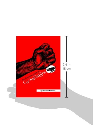 A Childs First Book of American History,Used