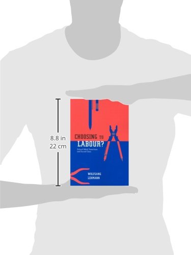Choosing to Labour?: SchoolWork Transitions and Social Class,Used