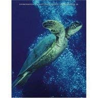 Environmental Science: Working with the Earth (with CDROM and InfoTrac),Used