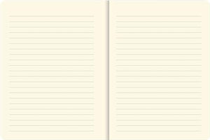 Curious Cat Journal (Diary, Notebook),Used