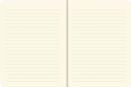 Curious Cat Journal (Diary, Notebook),Used