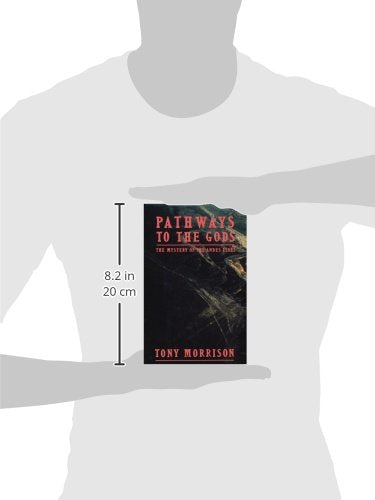 Pathways To The Gods: The Mystery of the Andes Lines,Used