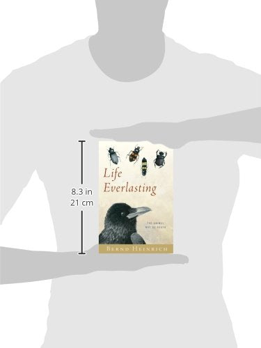 Life Everlasting: The Animal Way Of Death-new