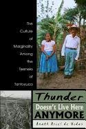 Thunder Doesn't Live Here Anymore: The Culture of Marginality Among the Teeneks of Tantoyuca,Used