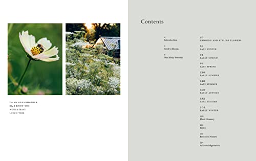 From Seed to Bloom: A year of growing and designing with seasonal flowers,Used