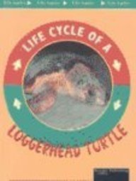 Loggerhead Turtle (Life Cycles),Used