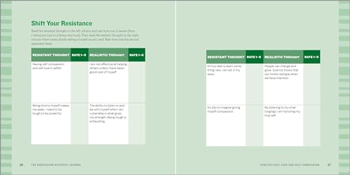 The Narcissism Recovery Journal: Prompts and Practices for Healing from Emotional Abuse,Used