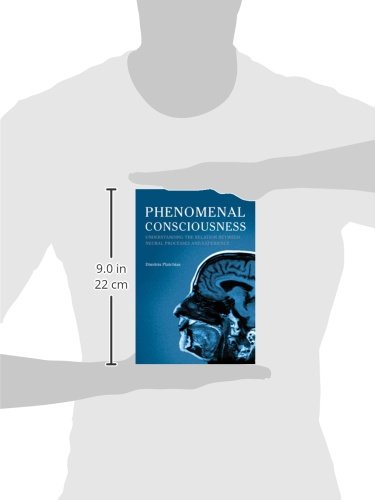 Phenomenal Consciousness: Understanding the Relation between Experience and Neural Processes in the Brain,Used