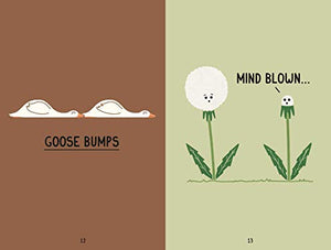 Let the Pun Shine: Fun puns to brighten your day,Used