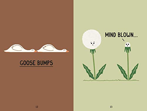Let the Pun Shine: Fun puns to brighten your day,Used