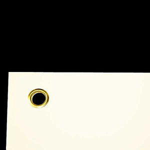 Anatomy Stuff Internal Organs Chart - Laminated 20