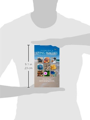 Florida's Living Beaches: A Guide for the Curious Beachcomber,Used