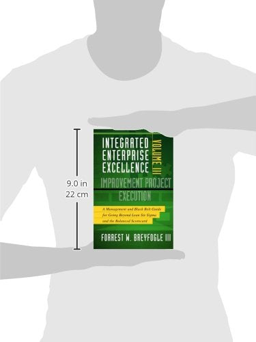 Integrated Enterprise Excellence, Vol. Iii Improvement Project Execution: A Management And Black Belt Guide For Going Beyond Lea
