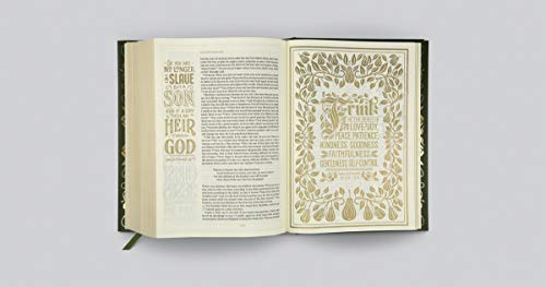 ESV Illuminated Bible, Art Journaling Edition,Used