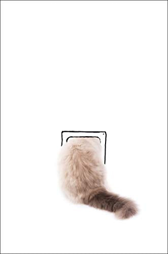 Cat Flap: A Novel,Used