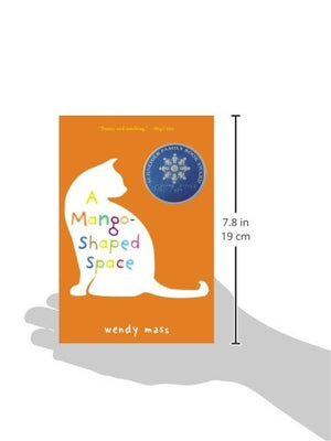 A MangoShaped Space,Used