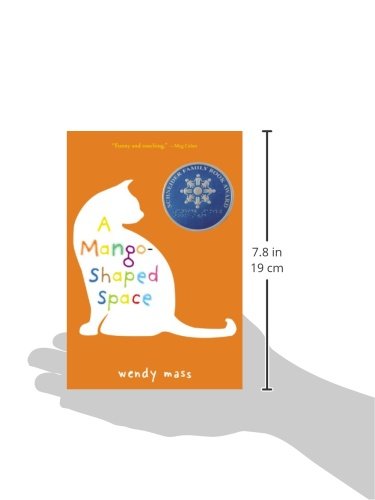 A MangoShaped Space,Used