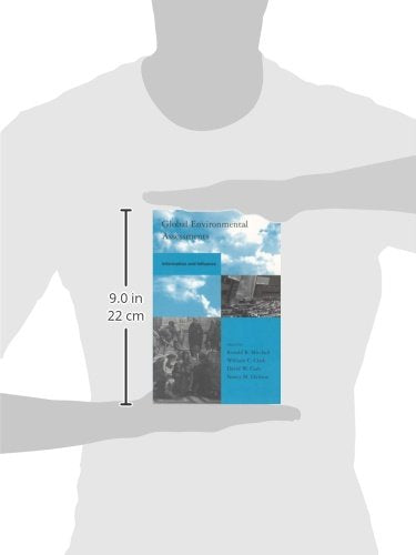 Global Environmental Assessments: Information And Influence (Global Environmental Accord: Strategies for Sustainability And Inst,Used