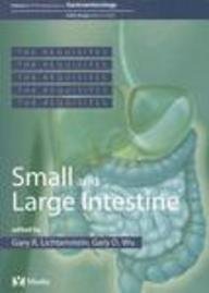 Small and Large Intestine: GI Requisite Series, Volume 2 (Requisites in Gastroenterology),Used