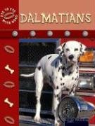 Dalmatians (EYE TO EYE WITH DOGS),Used