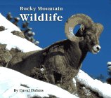 Rocky Mountain Wildlife,Used