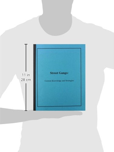 Street Gangs: Current Knowledge and Strategies,Used
