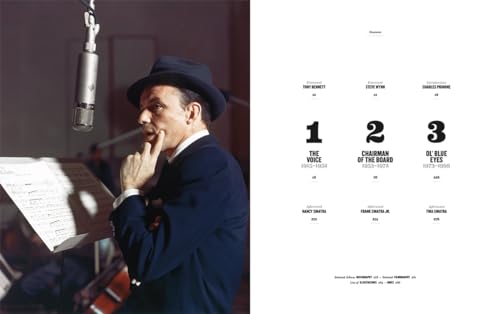 Sinatra 100-used