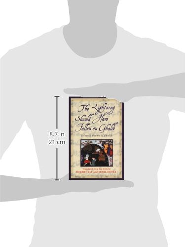 The Lightning Should Have Fallen on Ghalib: Selected Poems of Ghalib,Used