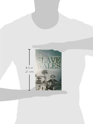 Slave Wales: The Welsh and Atlantic Slavery, 16601850,Used