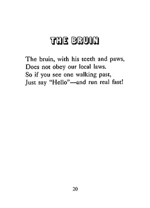 Hand Shadow Fun (Dover Little Activity Books: Puzzles)