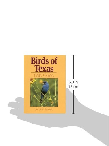 Birds of Texas Field Guide (Bird Identification Guides),Used