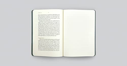 ESV Illuminated Scripture Journal: James,Used