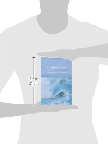 CranioSacral Therapy: Touchstone for Natural Healing: Touchstone for Natural Healing,Used