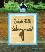 Irish Elk (Prehistoric Animals Set II),Used