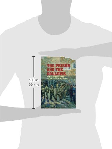The Prison and the Gallows: The Politics of Mass Incarceration in America (Cambridge Studies in Criminology),New