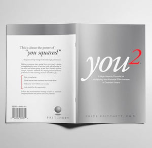 You2: A High Velocity Formula For Multiplying Your Personal Effectiveness In Quantum Leaps,Used