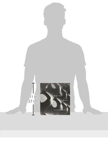 Erwin Hauer Continua: Architectural Screens and Walls,Used