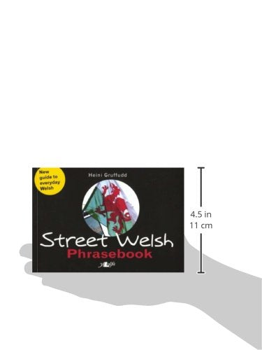 Street Welsh: A Phrasebook,Used