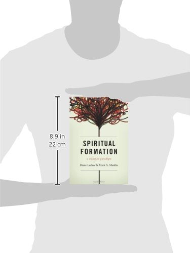 Spiritual Formation: A Wesleyan Paradigm,New