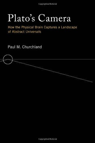 Plato's Camera: How the Physical Brain Captures a Landscape of Abstract Universals,Used