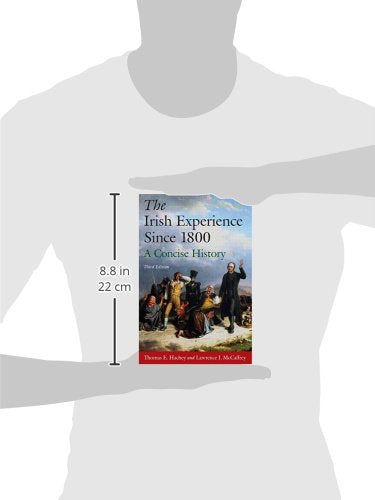 The Irish Experience Since 1800: A Concise History,New