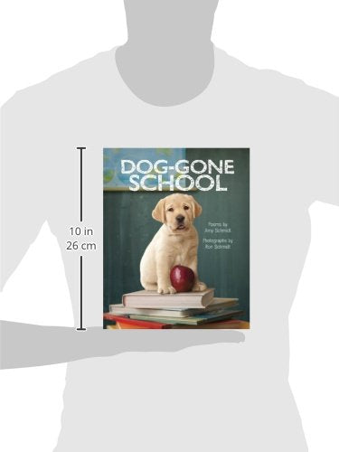 DogGone School,Used